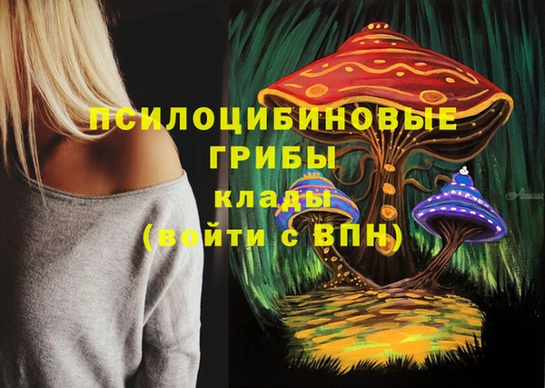гашик Абинск