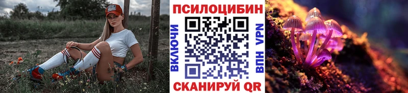 Галлюциногенные грибы Psilocybine cubensis  Уварово 
